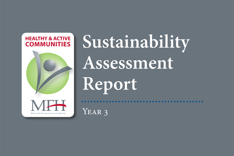 Sustainability Assessment Report: Year 3