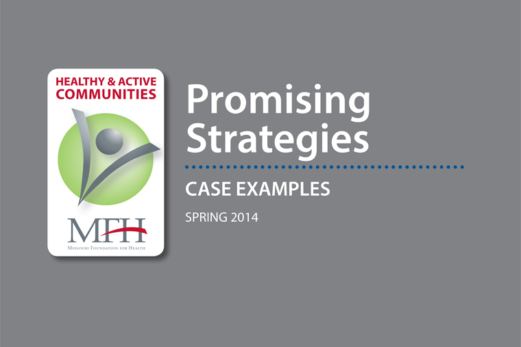 Promising Strategies: Case Examples